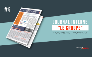 INTERNAL NEWSLETTER #6